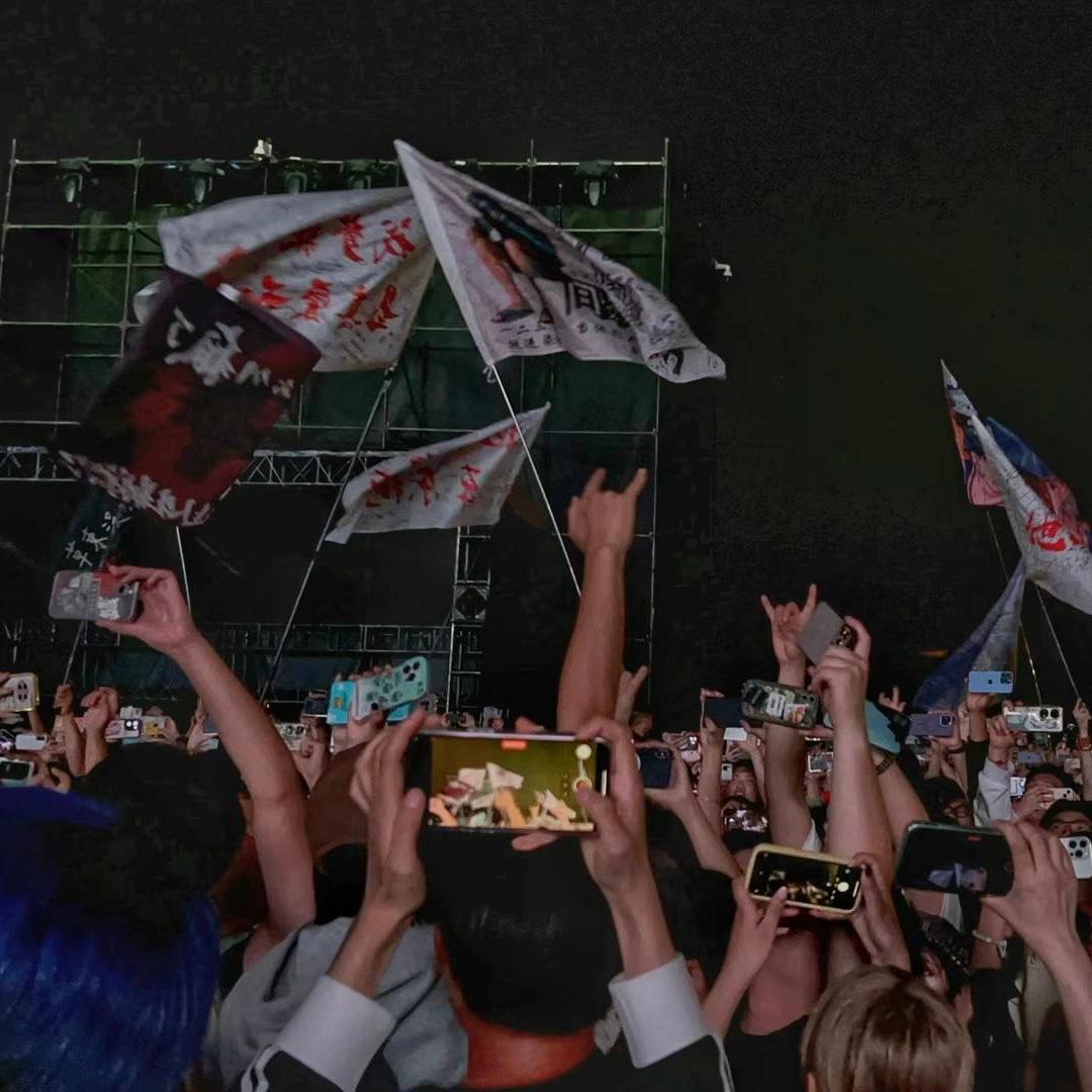 Fans waving flags during Grass Stage's performance were immediately dealt with by security guards